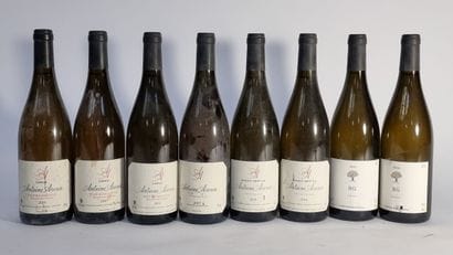 2 B PATRIMONIO CARCO Blanc 2009 Antoine Arena...