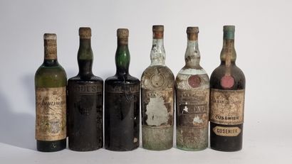 1 B LIQUEUR SURFINE 