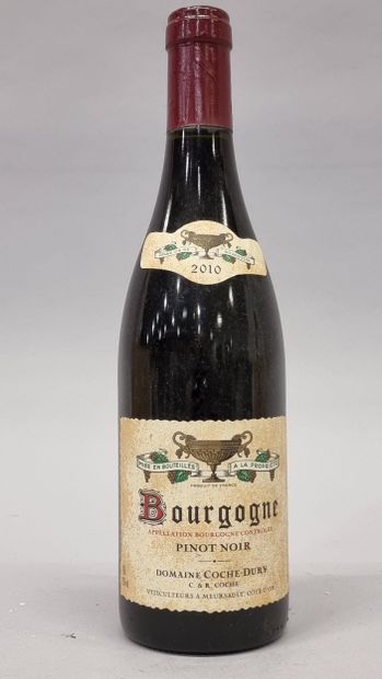 1 B BOURGOGNE PINOT NOIR 2010 Domaine Co...