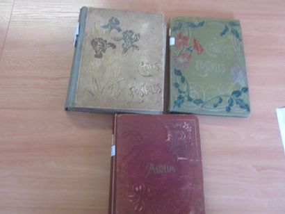 Three small CP albums: Automobile (Gordon...
