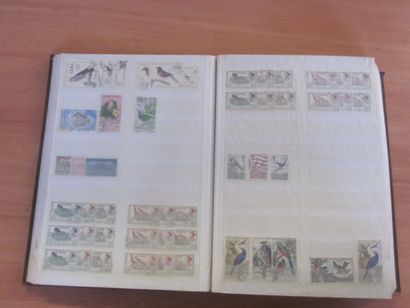 Trois cartons avec 20 classeurs de TP principalement...