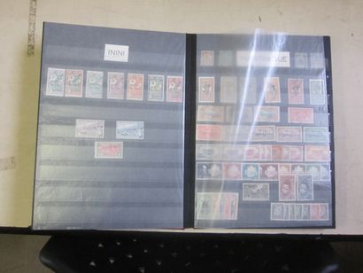 Deux cartons avec 12 classeurs (bon état...
