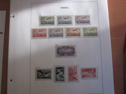 Une pochette avec des pages d'album TP de...