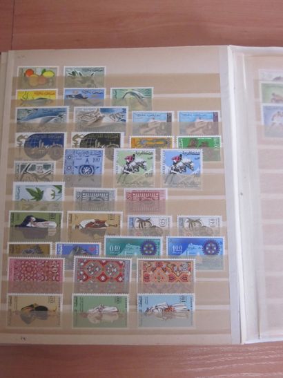 Deux classeurs de TP du Maroc principalement...