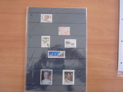 Une chemise avec des TP France neufs** pochettes...