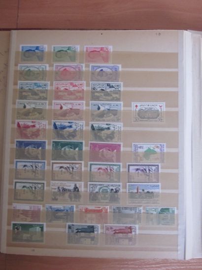 Deux classeurs de TP du Maroc principalement...