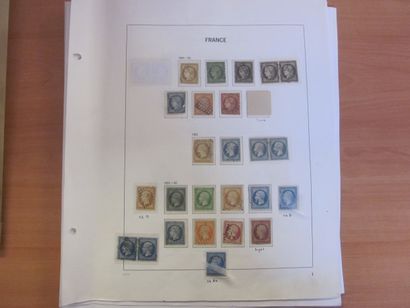 Une pochette avec des pages d'album TP de...