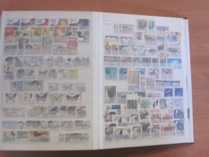 Trois cartons avec 20 classeurs de TP principalement...