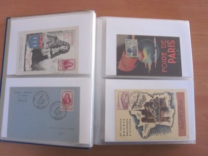 Deux cartons avec 13 classeurs de premiers...