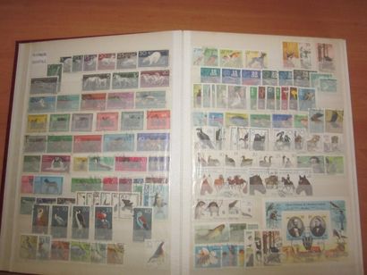 Trois cartons avec 20 classeurs de TP principalement...