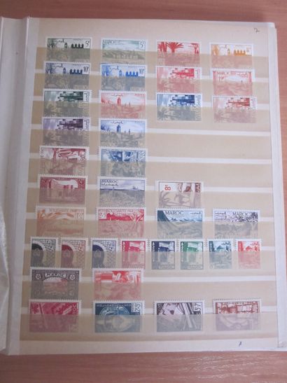 Deux classeurs de TP du Maroc principalement...