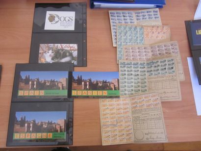 Un carton avec 10 classeurs de TP dont France...