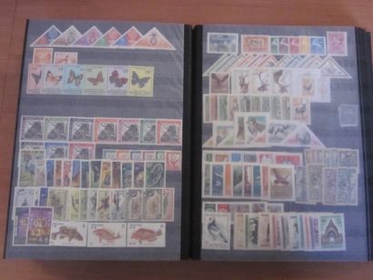 Un carton avec 6 classeurs de TP neufs**...