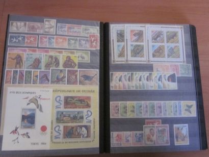 Un carton avec 6 classeurs de TP neufs**...