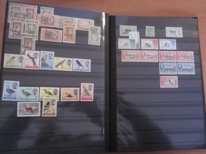 Un carton avec 6 classeurs de TP neufs**...