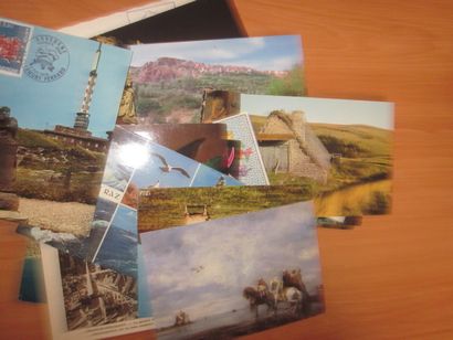 Un carton avec des CP modernes et des reproductions....