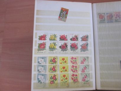 Trois cartons avec 20 classeurs de TP principalement...