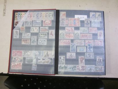 Deux cartons avec 12 classeurs (bon état...