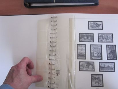 Trois albums sans TP, reliure LEUCHTTURM...