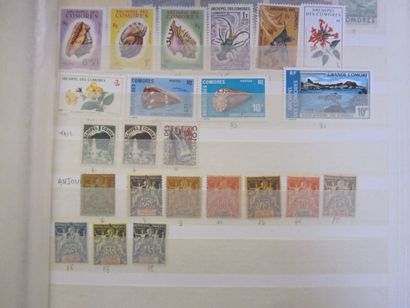 Trois classeurs de TP des colonies françaises/Monaco/Andorre/Sarre...