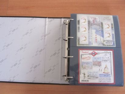 Un album avec feuilles TP de France neufs**...
