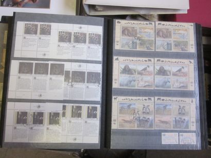 Six cartons avec 48 albums ou classeurs TP...