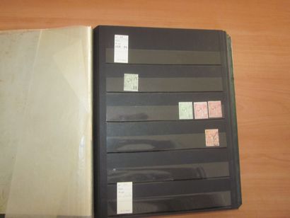 Trois classeurs de TP Monaco principalement...