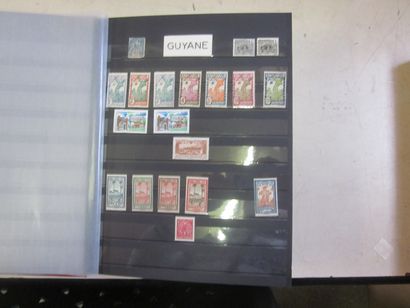 Deux cartons avec 12 classeurs (bon état...
