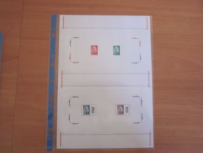 Une pochette avec des feuilles d'exposition...