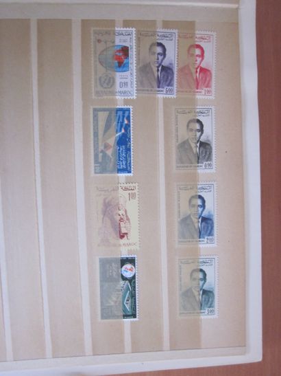 Deux classeurs de TP du Maroc principalement...