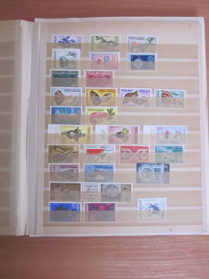 Deux classeurs de TP du Maroc principalement...