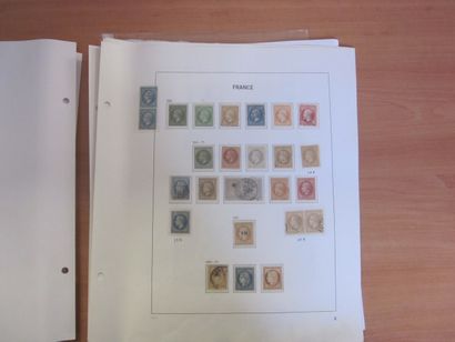 Une pochette avec des pages d'album TP de...