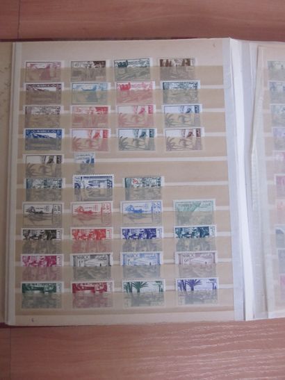 Deux classeurs de TP du Maroc principalement...
