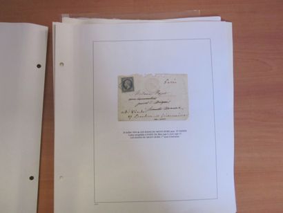Une pochette avec des pages d'album TP de...