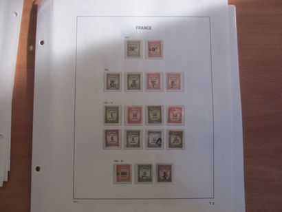 Une pochette avec des pages d'album TP de...