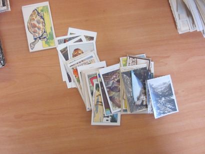 Un carton avec un vrac de CP dont séries...