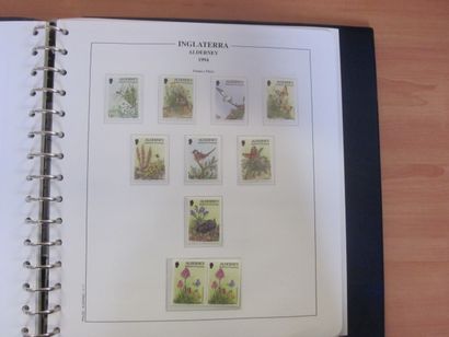 Deux albums avec étuis (1 LECHTTURM 1 PHILOS...