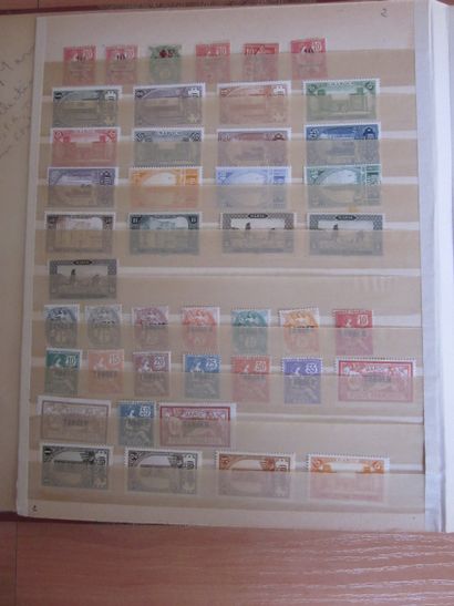 Deux classeurs de TP du Maroc principalement...