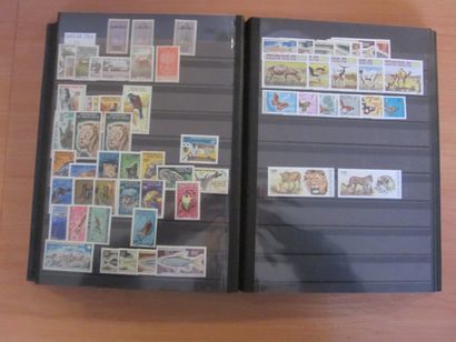 Un carton avec 6 classeurs de TP neufs**...