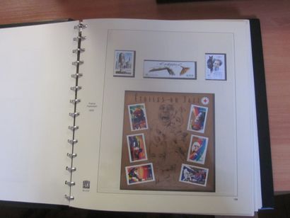 Un carton avec 4 albums SAFE avec étui (bon...
