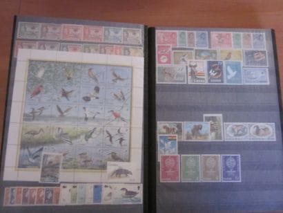 Un carton avec 6 classeurs de TP neufs**...