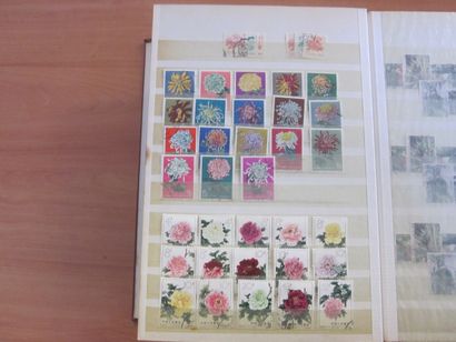 Trois cartons avec 20 classeurs de TP principalement...