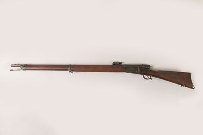 Fusil VETTERLI modèle 1878 M81, calibre 10,4...