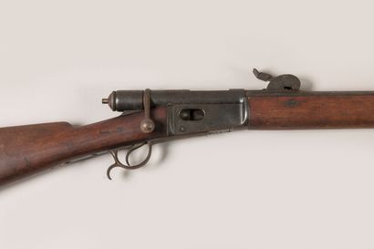 Fusil VETTERLI modèle 1878 M81, calibre 10,4...