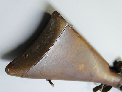 Fusil VETTERLI modèle 1878 M81, calibre 10,4...