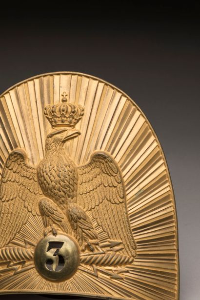 Plaque de bonnet d’ourson d’officier de la...