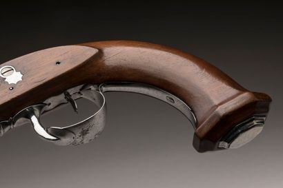Paire de pistolets d'arçons.
Platines à silex,...
