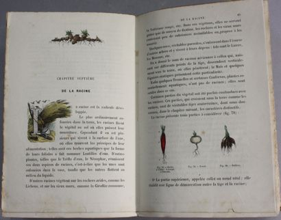 AUDOUIT (Edmond). L'herbier des demoiselles...