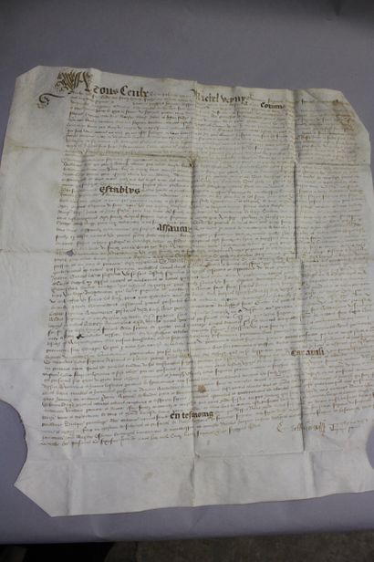 [ARCHIVES MANUSCRITES XVIe siècle]. Important...