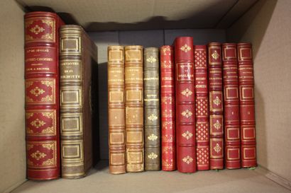 Environ 32 volumes reliés du XIXe siècle...